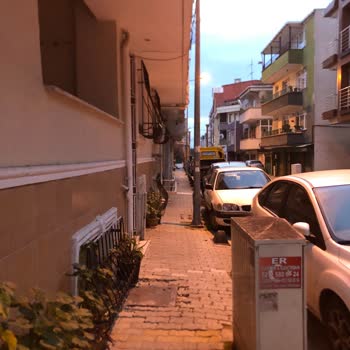 Küçükçekmece Belediyesi Kaldırımda Sessiz Sakin Duran Bir Ağaç