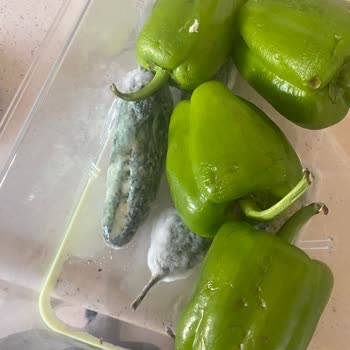 Arçelik Buzdolabı Servis Hatası