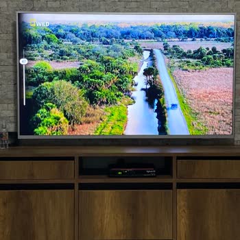 Philips TV Ses Gelmeme Şikayeti