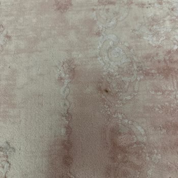 Organik Koltuk Yıkama İşinin Arkasında Durmayan Firma