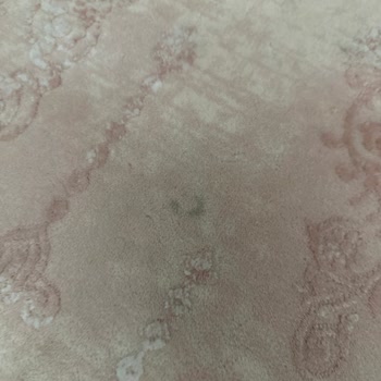 Organik Koltuk Yıkama İşinin Arkasında Durmayan Firma