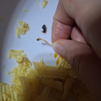 Ruffles Cipsten Böcek Çıktı
