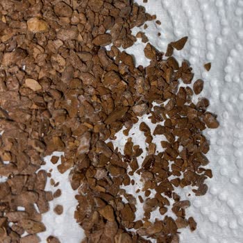 Nescafe Blend Tüketim Tarihi Geçmeden Bozulmuş