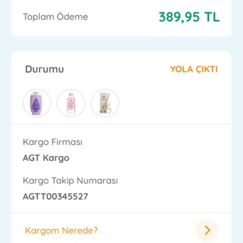 AGT Kurye (aynigunteslim.com) Ulaşmayan Kargom