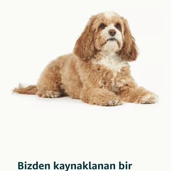 Amazon Uygulamasında Bizden Kaynaklanan Bir Sorun Oluştu Bildirimi