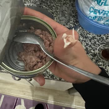 Derya Ton Balığı İçerisinde Çıkan Kılçık Evde Kemik Parçası