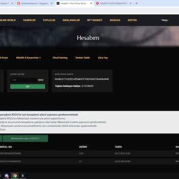 Rise Online World Destek Hizmetlerinde Gecikme Ve İletişim Sorunu