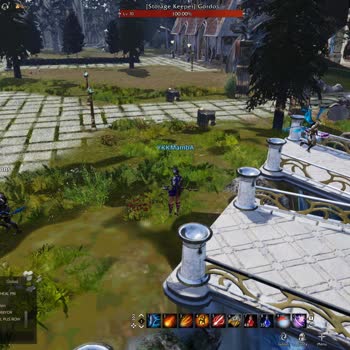 Rise Online World Destek Hizmetlerinde Gecikme Ve İletişim Sorunu