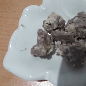 Torku Helva Kıl Cıktı