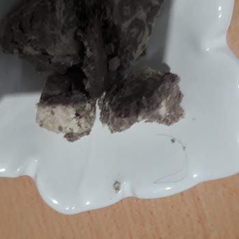 Torku Helva Kıl Cıktı