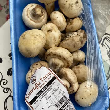 Şok Marketler  Son Kullanma Tarihi Skandalı!