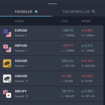 Provider Capital Markets Yatırım Vaadinde Hüsran!