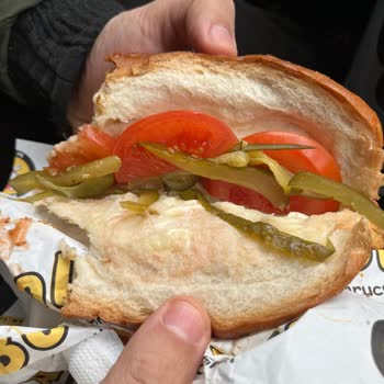Boldi Kumrucu Sinan Boldi Kumrucusu Boş Ekmek İteliyor