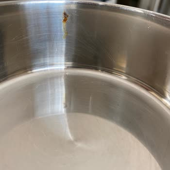 Penguen Home Penguen Yemek Termosu