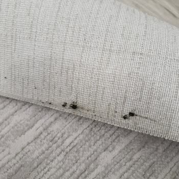 El Aziz Halı Yıkama Halı Yıkama Faciası: Lekeli Ve Yırtık Halı Teslimi