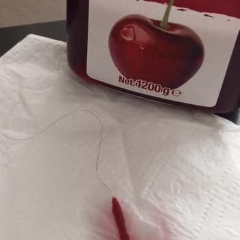 Seyidoğlu Gıda Seyidoğlu Visne Reçeli Saç Çıkması