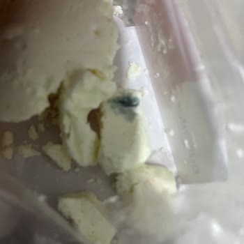 Duranlar Süt Duranlar Kaymak SKT Tarihinin Olmasına Rağmen 3 Günde Küflendi