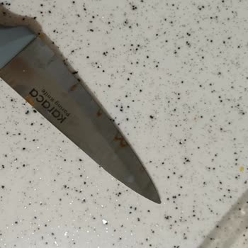 Karaca Züccaciye Karaca Paslanan Bıçakları