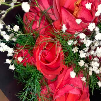 ÇiçekSepeti Bayat Çiçek Mağduriyeti