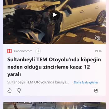 Karayolları Genel Müdürlüğü Köpekten Ötürü Oluşan C** Pazarı Kara Yolları Genel Sorumluluğu