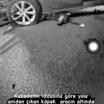 Karayolları Genel Müdürlüğü Köpekten Ötürü Oluşan C** Pazarı Kara Yolları Genel Sorumluluğu