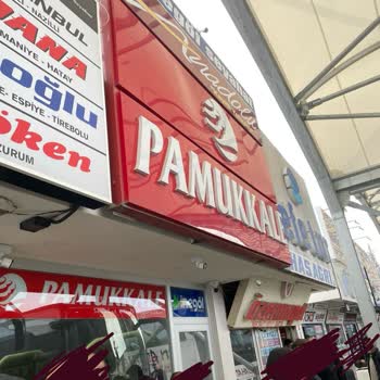 Pamukkale Turizm Online Bilet Satma