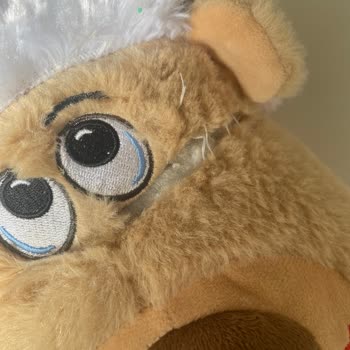 Twigy Pandufum Hemen Açıldı