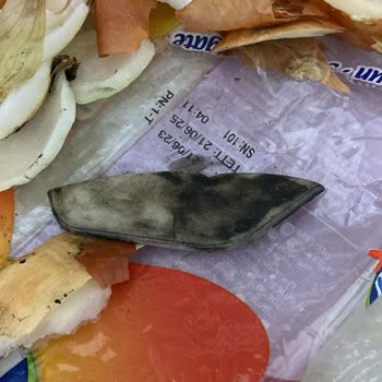Piyale Makarnanın İçinden Çıkan Plastik Parça