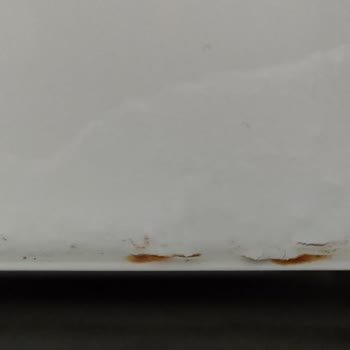 Unexpected Rusting of the Bosch Washing Machine