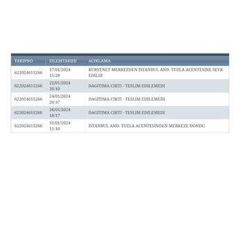 Kuryenet Kurye Teslimatında Yaşanan Gecikme Sorunu