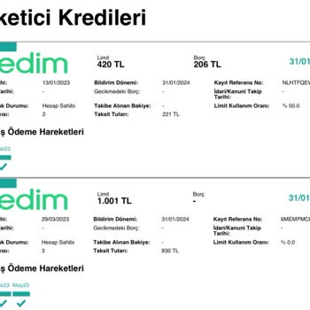 Olmayan Borcu Gösteren Kredim