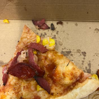 Sbarro Pizza Kutusundan Hamam Böceği Çıktı