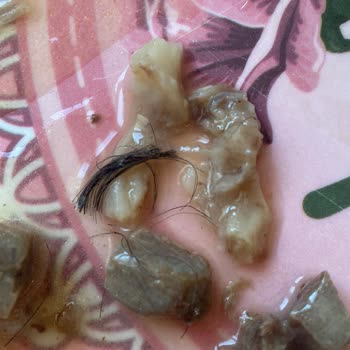 Gönül Çorba (İzmir) Kıllı Kelle Paça