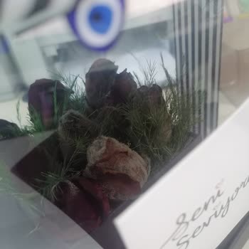 Çiçek Sepeti Kutuda Güller Küflendi Ve İçinde Böcek Var