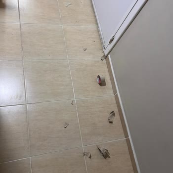 Üsküdar Nakliyat Pişmanlıktır, Temizlik Kurallarından Bihaberler!