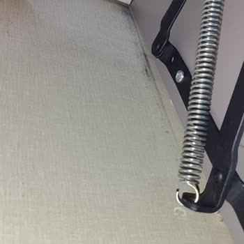 Weltew Home Pişmanlıktır, Paranla Rezil Olmaktır.