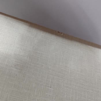 Weltew Home Pişmanlıktır, Paranla Rezil Olmaktır.