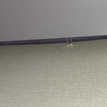 Weltew Home Pişmanlıktır, Paranla Rezil Olmaktır.