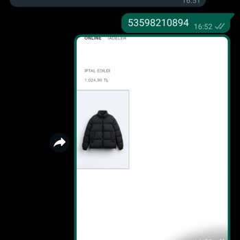 Zara'nın Mont Oyunu