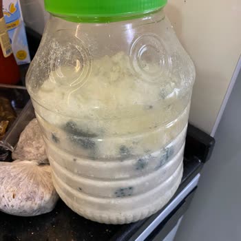 Arçelik Buzdolabında Gaz Kaçağı Sorunu