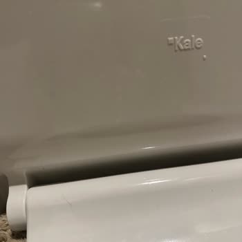 Kale Klozet Kapağı Kırıldı