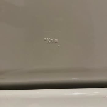 Kale Klozet Kapağı Kırıldı