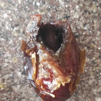 Çitlekçi'den Aldığım Küflenmiş Hurma