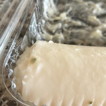 Özsüt Küflü Tavukgöğsü Tatlısı