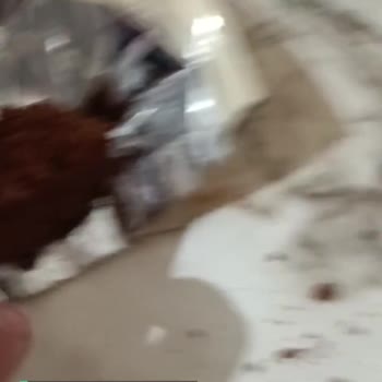 A101 Kek İçinden Plastik Çıktı