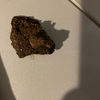 Nut Master Kuruyemiş İçinde Gramaj Artsın Diye Farklı Bir Şeyler Var