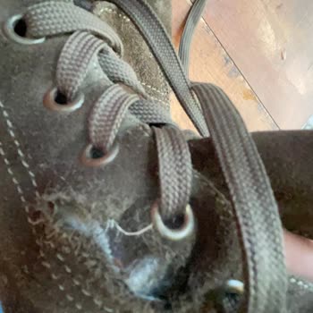 Desa Yeni Botum Kısa Sürede Yırtıldı!