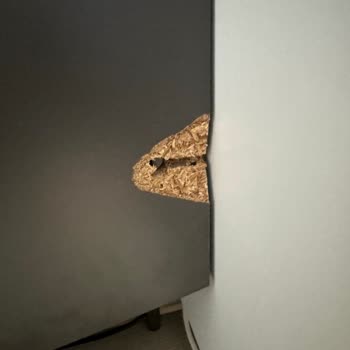 Gürbüzoğulları Mobilya Garantili Satılıp Garanti Kapsamına Alınmayan Ürün