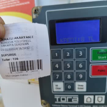 Shell Düzen Yok Denetleme Yok