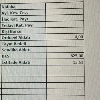 Türkiye Hayat Emeklilik Otomatik BES Sorunu